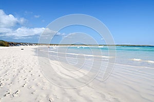 White sand beach at Tortuga Bay, Puerto Ayora, San Cristobal, Galapagos Islands, Ecuador, South America