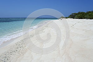 White sand beach tropical island philippines