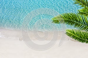 White sand beach and tropical sea with palm tree.