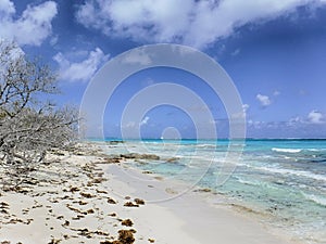 White Sand Beach on Turks and Caicos