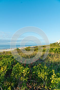 White sand beache at Indian Rocks Beach on the west coast of Florida