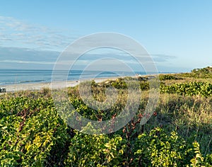 White sand beache at Indian Rocks Beach on the west coast of Florida