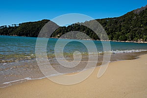 White sand beach in the Abel Tasman National Park, Bark Bay, New Zealand