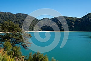 White sand beach in the Abel Tasman National Park, Bark Bay, New Zealand