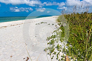 White Sand and Bowmans Beach, Sanibel Island photo