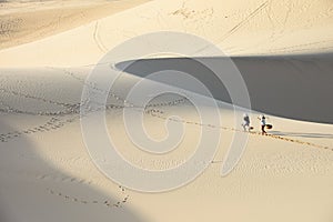 Biely piesok duna v 