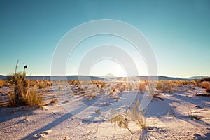 White Sand Dunes