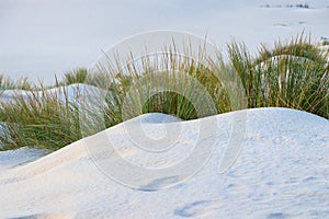 White Sand dunes in a beach