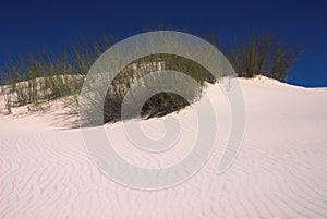 White sand dunes in desert