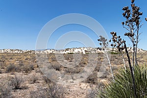 White sand dunes in the desert