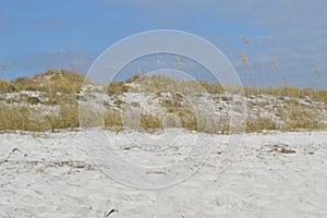 White sand dunes in the Florida Panhandle