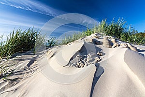 White sand dunes with green plant growth and blue sky.
