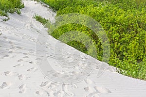 White sand dunes with green vegetation.