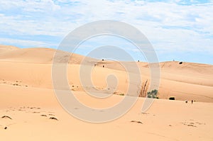 White Sand Dunes in Mui Ne
