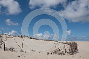 White sand dunes on Norderney