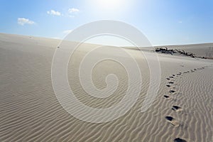 White sand dunes panorama from Lencois Maranhenses National Park, Brazil