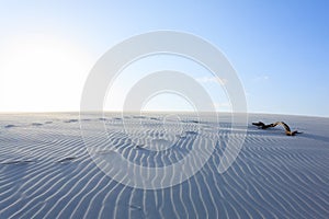White sand dunes panorama from Lencois Maranhenses National Park photo