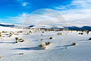White sand dunes at White Sands National Monument