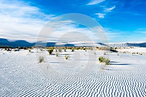 White sand dunes at White Sands National Monument