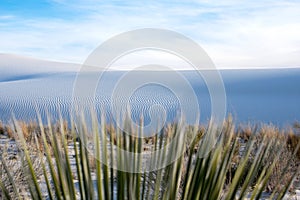 White sand dunes at White Sands National Monument