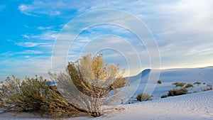 White sand dunes at White Sands National Monument