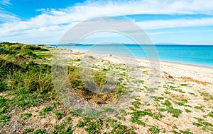 White sand in Fiume Santo beach