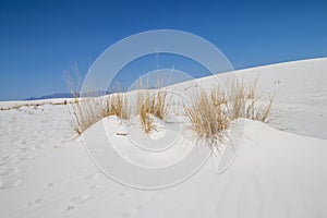 White sand, grass and blue sky
