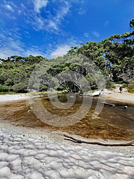 White Sand Hyams Beach, Jervis Bay, New South Wales Australia