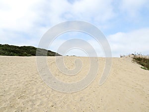 White sand in natural reserve