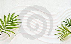 White sand and palm leaves