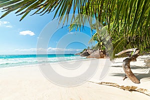 White sand and palm trees in Anse Lazio beach