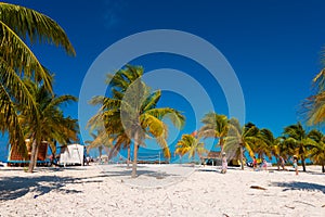 White sand and palm trees on the beach Playa Sirena, Cayo Largo, Cuba. Copy space for text. photo