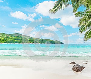 White sand and palm trees in Seychelles