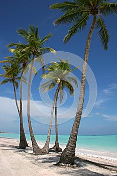 White Sand Paradise Beach