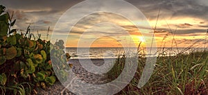 White sand path leading toward Delnor Wiggins State Park at sunset photo