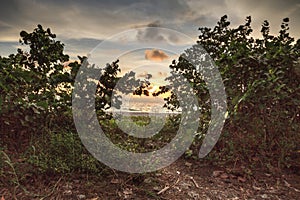 White sand path leading toward Delnor Wiggins State Park at sunset photo