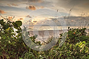 White sand path leading toward Delnor Wiggins State Park at sunset photo