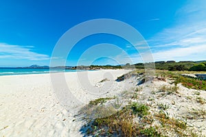 White sand in Rena Bianca beach in Costa Smeralda