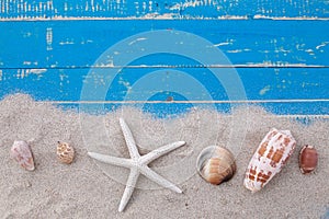 White sand star fish and shells