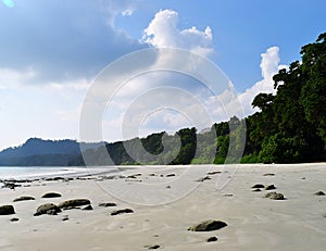 White Sand with Stones and Coastal Plantation, Cloudy Sky and Serenity - Radhanagar Beach, Havelock Island, Andaman Nicobar, India