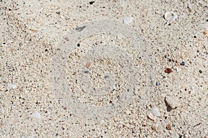Bianco struttura della sabbia 