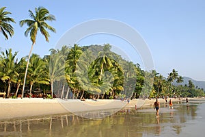 White sand tropical beach