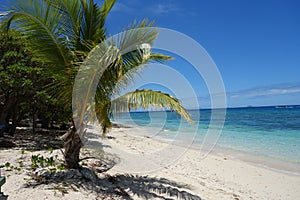 White sand tropical beach