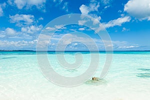 White sand tropical beach, clear blue coral water