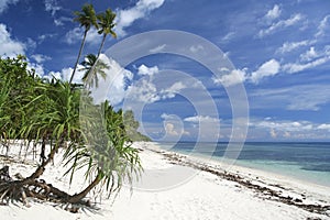 White sand tropical beach philippines