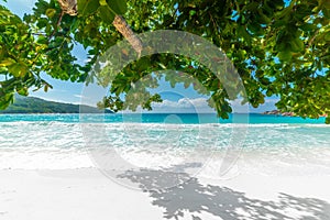 White sand and turquoise water in Anse Lazio