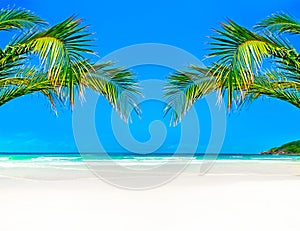 White sand and turquoise water in a tropical island