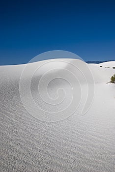 The White Sands