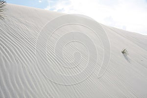 White sands