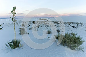 White Sands